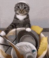 Danny washing the dishes